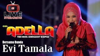 Download lagu OM ADELLA  Bersama EVI TAMALA - Cumi Cumi Audio mp3