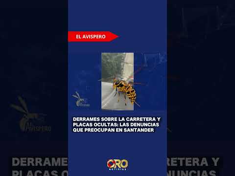 Comerciantes y conductores piden mayores controles en la vía San Gil–Bucaramanga | Oro Noticias