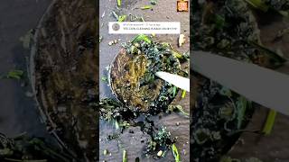 Fake but Extremely Satisfying 🤷‍♂️