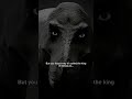 People Underestimate The Tyrannosaurs Rex Prehistoric Dinosaur Scary Trex Horror
