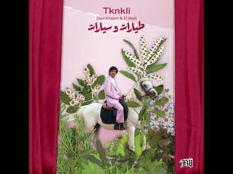 Zaid Khaled & El Waili - Tknkli (Official Audio) | زيد خالد و الوايلي - تكنكلي
