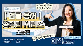 알기쉬운 미국 법률 용어! 소송편 | Legal Terms to Know about Litigation video thumbnail