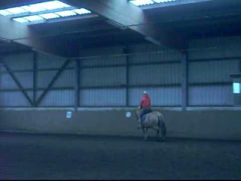 Videos Okt09 015.asf