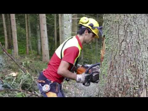 Laubichler Forstservice - Holzfällung, Holzseilung, Prozessoraufarbeitung und Holztransport
