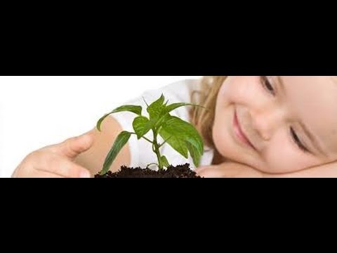 Tv7 con Voi del 19/01/2015 - Quale previdenza? (1 di 3)