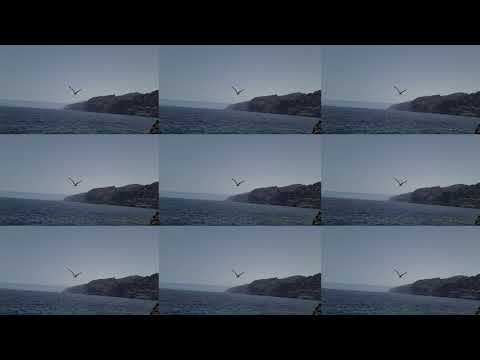 CHARCO DEL TANCÓN, TENERIFE