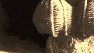 KING FELIX-STONES THROW AWAY.wmv