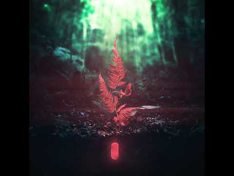 Reddym - Red Pill (Visualizer)