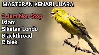 Download lagu MASTERAN KENARI JUARA || 2 JAM NON STOP MATERI Sikatan Londo Blackthroad Ciblek mp3