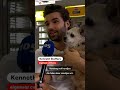 Snack uit de muur voor honden op #dierendag