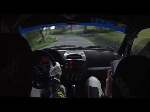 25°RALLY NAZ. DEL TARO - RAVAZZINI G. - SFORACCHI S. - CLIO N3 - PS1 MONTEVACA'