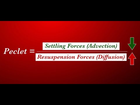Testing Video