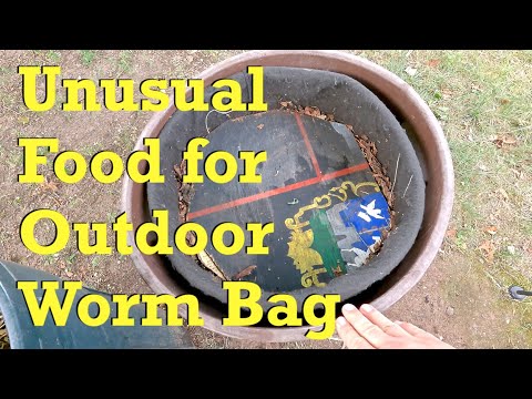 Outdoor worm bag jumps on "forbidden food" bandwagon - vermicompost