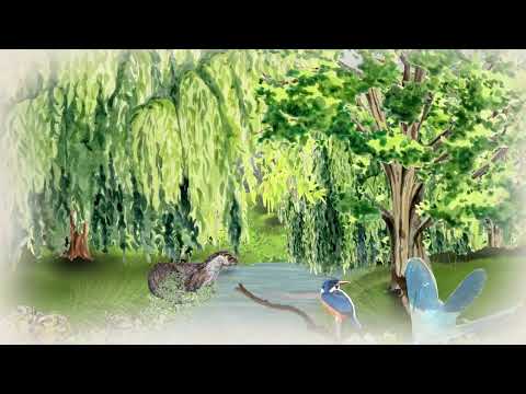 How do chalk streams work?