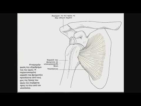 Γ Τρούπης - Τοπογραφική και χειρουργική ανατομική ώμου