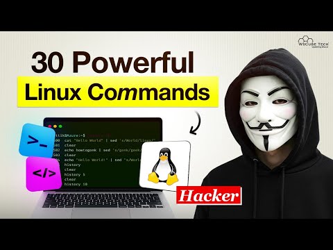 What is Linux Kernel OS Terminal for Beginners