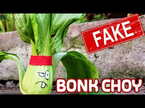 The Truth About PVZ in Real Life: Bonk Choy is a FAKE | MOO Toy Story