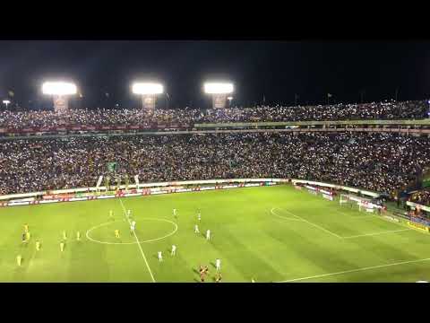 La Mejor aficion de todo México TIGRES UANL (Tigres Vs Santos Cuartos de final)