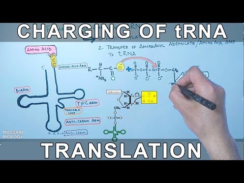 Fmoc-his (trt)-oh   109425-51-6