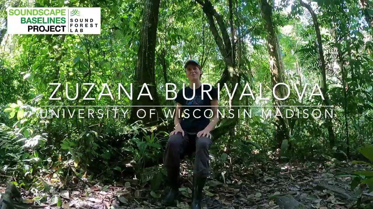 Soundscape Baselines Project