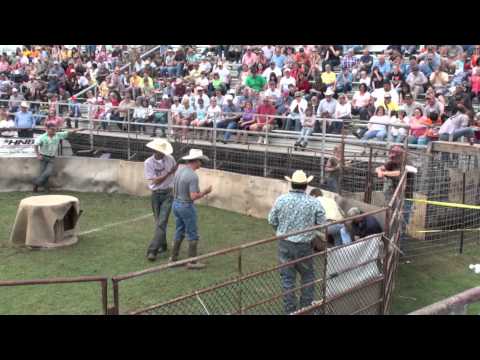 2012 Sabinal Wild Hog Wrestling   Travis, Rodney, Siggy