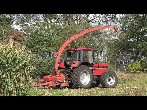 Mais hakselen met Case International 1255XL en PZ Greenland MH 180 S Quattro (2019)