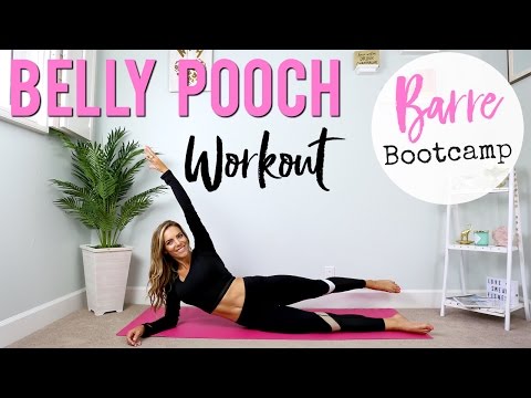 How to Lose BELLY POOCH | Lower Abs Barre Bootcamp