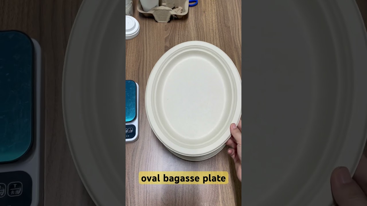 100% Biodegradable Sugarcane Bagasse Plates,Plastic-Free Plates #plate #bagasseplate #paperplate