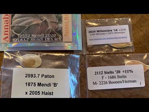 2552 Mendi, First 40 days 2021