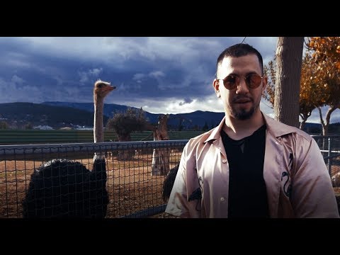 Maverick - Στρουθοκάμηλος (Official Music Video)