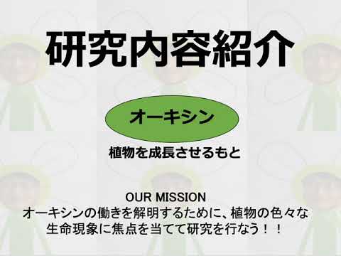 応ゲ研究紹介2020