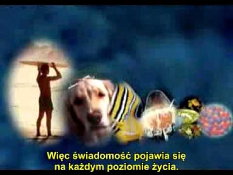 Peter Russell - Pierwszeństwo Świadomości (The Primacy of Consciousness)