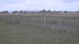 preview picture of video 'Rally Hebrides 2011 Melbost Farm Stages'