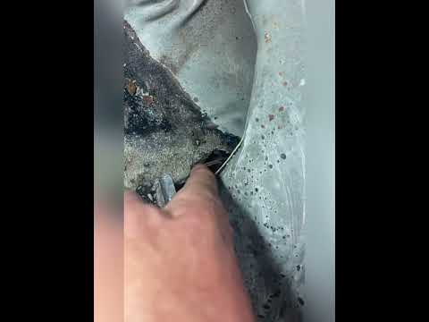 No weld floorboard rust repair