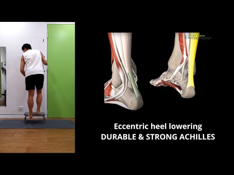 Eccentric heel lowering - DURABLE & STRONG ACHILLES