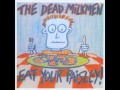 The Dead Milkmen - Air Crash Museum