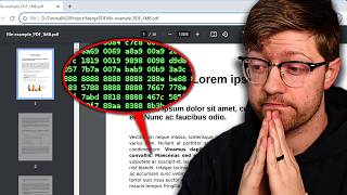 They're hacking PDFs now