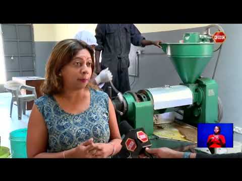 The Process I Focus on Baobab seed oil processing