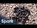 Dry Lake Beds: The Best Place To Find Meteorites | Meteorite Men | Spark