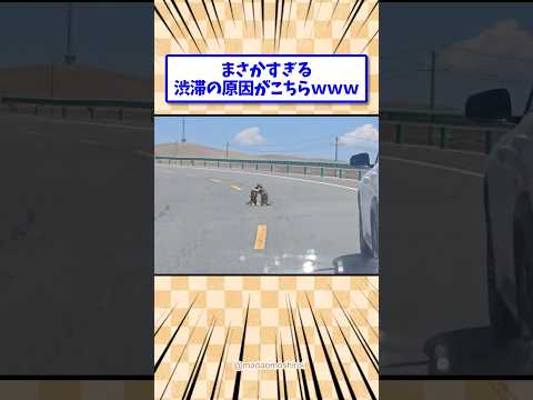 まさかすぎる渋滞の原因がこちら