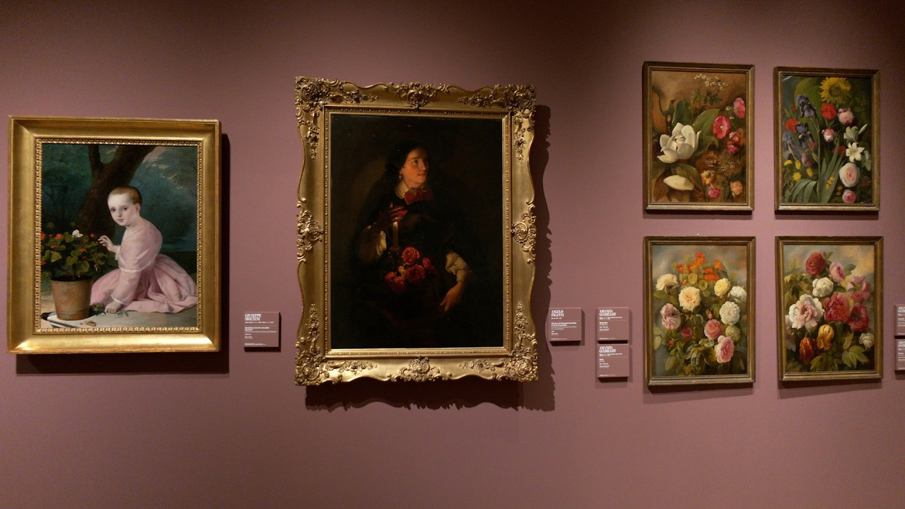 Il mondo dei fiori in una raffinatissima mostra ferrarese