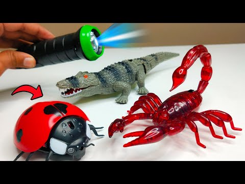 RC Realistic Gubraila Prank Gadget Unbxoxing  & Testing - Chatpat toy tv