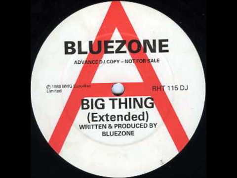 BLUEZONE   BIG THING