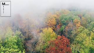 Elliot Root - June, After Dark