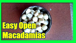 How To Open Macadamia Nuts: Easy, Quick Homemade Macadamia Opener