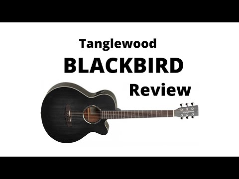 Tanglewood Blackbird Guitar Review