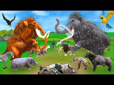 Woolly Mammoth vs Mastodon Fight Sea Monster Megalodon vs Tyrannosaurus rex Attack Giant Gorilla Cow