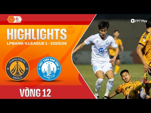 bg-highlight