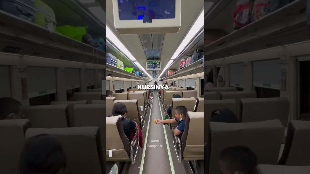 4 TYPES OF ECONOMY TRAIN? #don'tchoosethewrong #economytrain #differences