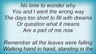 Alan Parsons Project - Since The Last Goodbye Lyrics